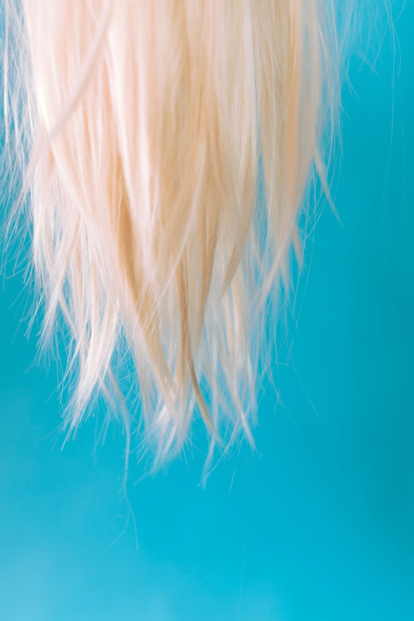 Mit Mikronährstoffen gegen Haarausfall |VitaSymbio